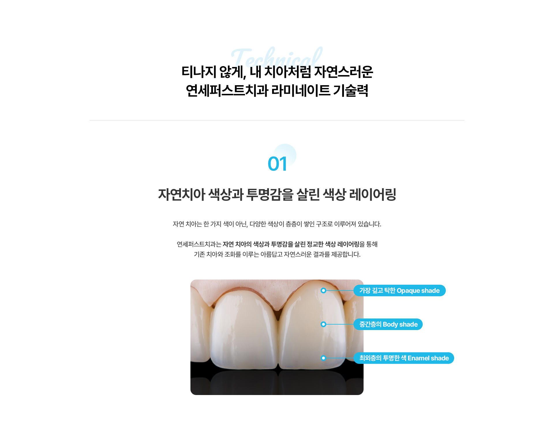라미네이트