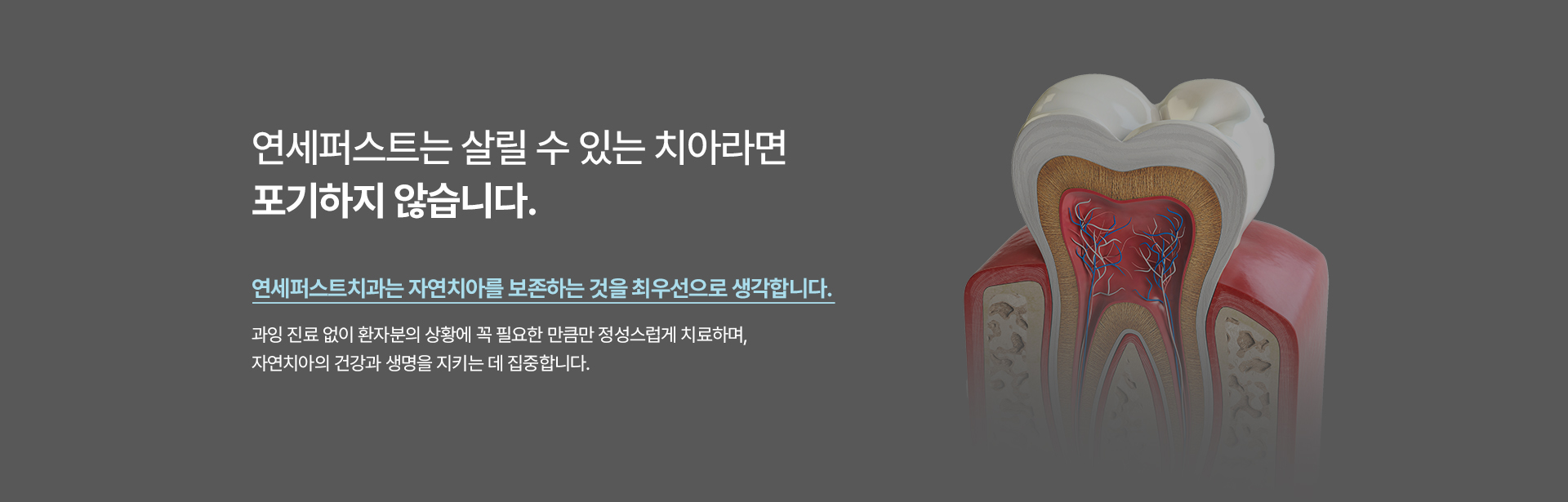 신경치료