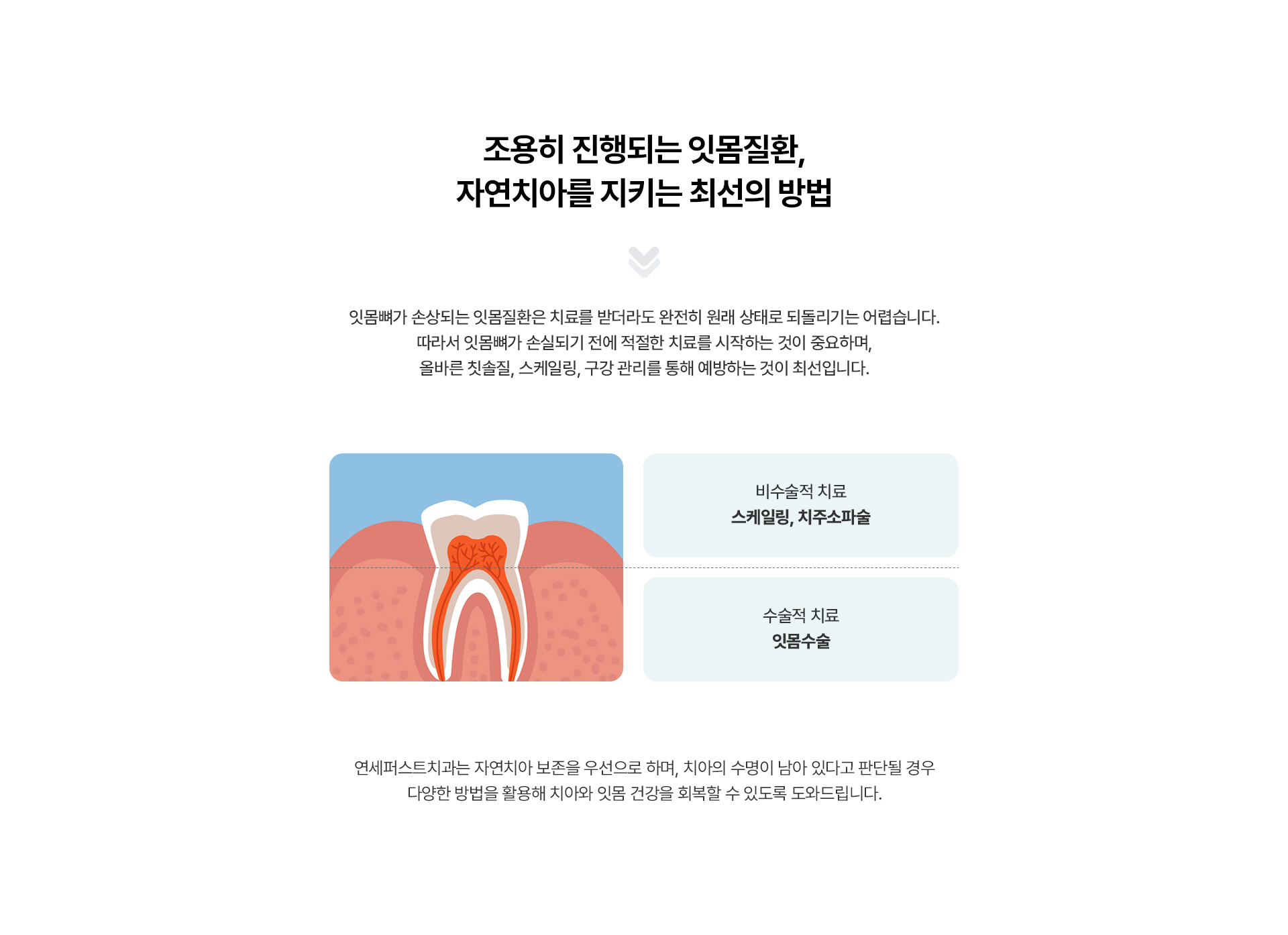 치주치료